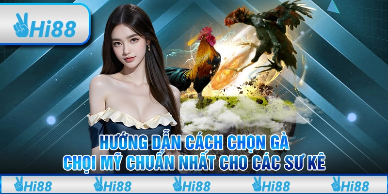 Đà Gà Hôm Nay Hấp Dẫn Trong Từng Cuộc Chiến