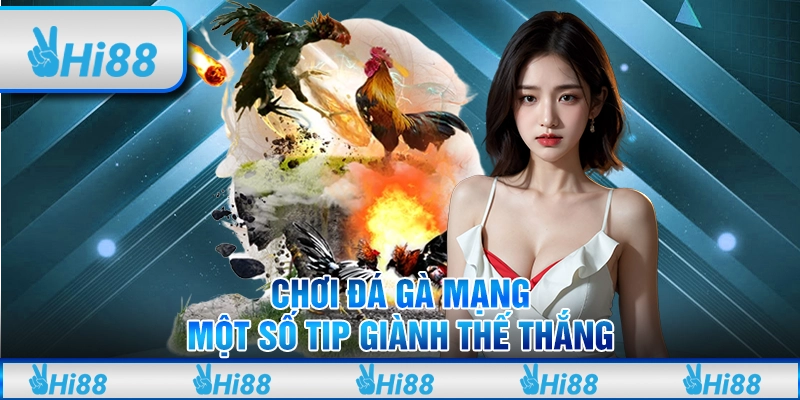 Chơi Đá Gà Mạng - Một Số Tip Giành Thế Thắng