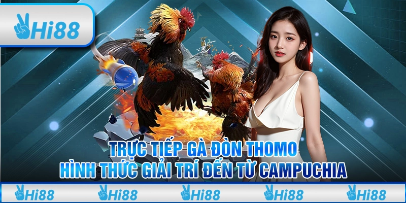 Trực Tiếp Gà Đòn Thomo - Hình Thức Giải Trí Đến Từ Campuchia