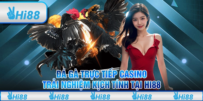 Đá Gà Trực Tiếp Casino – Trải Nghiệm Kịch Tính Tại Hi88