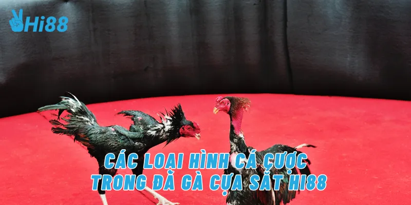 Các loại hình cá cược trong đá gà cựa sắt Hi88