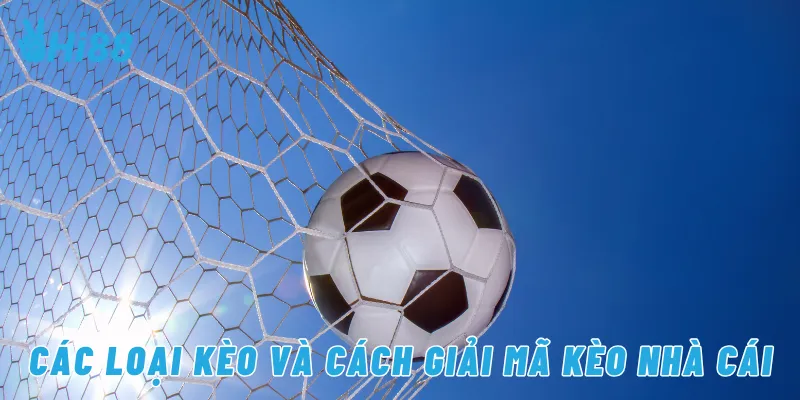 Các loại kèo và cách giải mã kèo nhà cái