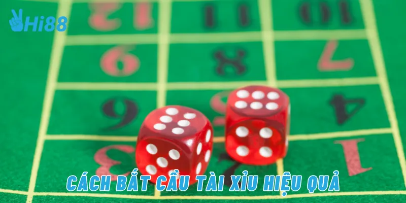 Cách bắt cầu tài xỉu hiệu quả