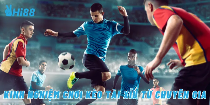 Kinh nghiệm chơi kèo tài xỉu từ chuyên gia