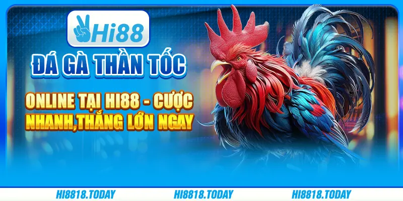 Đá gà thần tốc online tại Hi88 - Cược nhanh, thắng lớn ngay