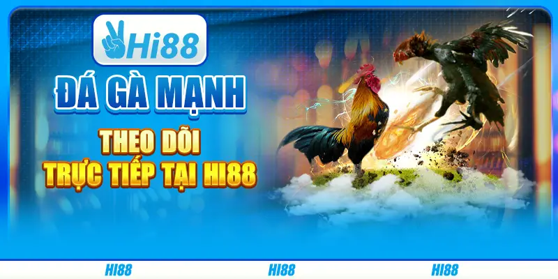 Đá Gà Mạnh, Theo Dõi Trực Tiếp Tại Hi88