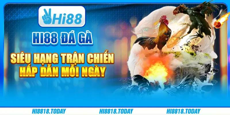Hi88 Đá Gà Siêu Hạng: Trận Chiến Hấp Dẫn Mỗi Ngày