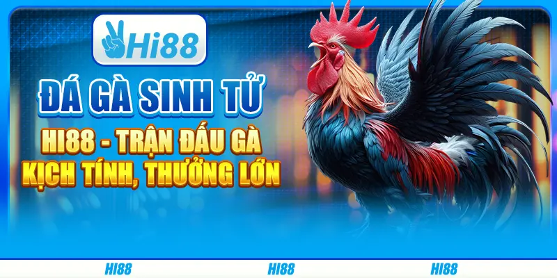 Đá Gà Sinh Tử Hi88 - Trận Đấu Gà Kịch Tính, Thưởng Lớn