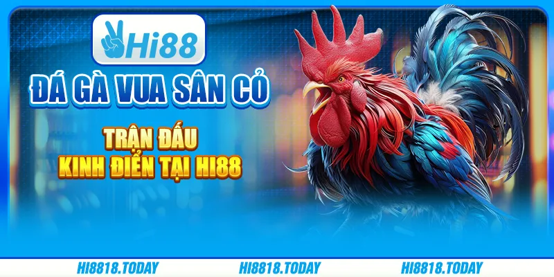 Đá Gà Vua Sân Cỏ – Trận Đấu Kinh Điển Tại Hi88