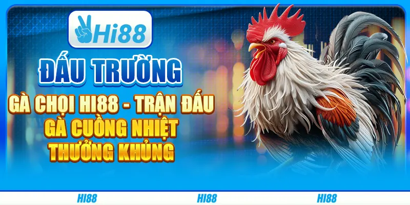 Đấu Trường Gà Chọi Hi88 - Trận Đấu Gà Cuồng Nhiệt, Thưởng Khủng