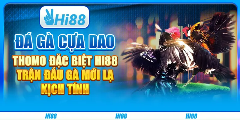 Đá Gà Cựa Dao Thomo Đặc Biệt Hi88 - Trận Đấu Gà Mới Lạ, Kịch Tính
