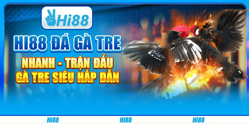 Hi88 Đá Gà Tre Nhanh - Trận Đấu Gà Tre Siêu Hấp Dẫn