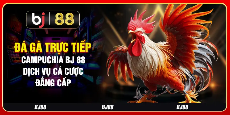 Đá Gà Trực Tiếp Campuchia BJ 88 - Dịch Vụ Cá Cược Đẳng Cấp