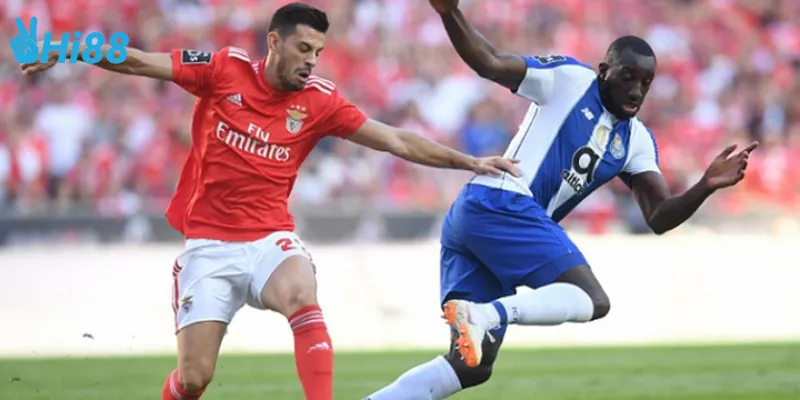 Cơ hội đặt cược bóng đá giải Ngoại hạng Bồ Đào Nha Primeira Liga