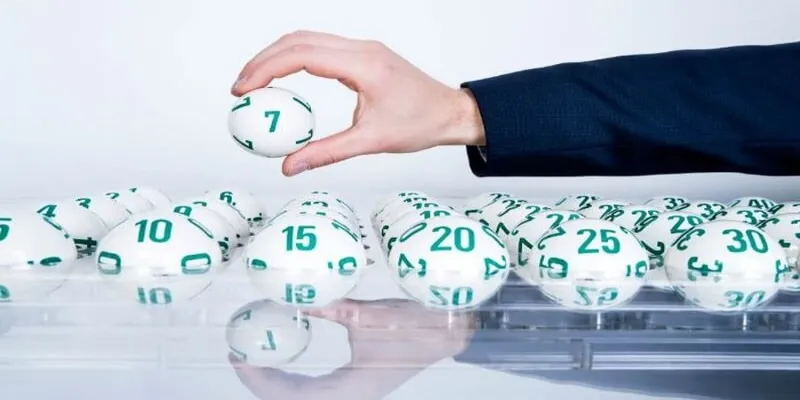 kham-pha-cac-thong-tin-co-ban-ve-dan-de-56-con