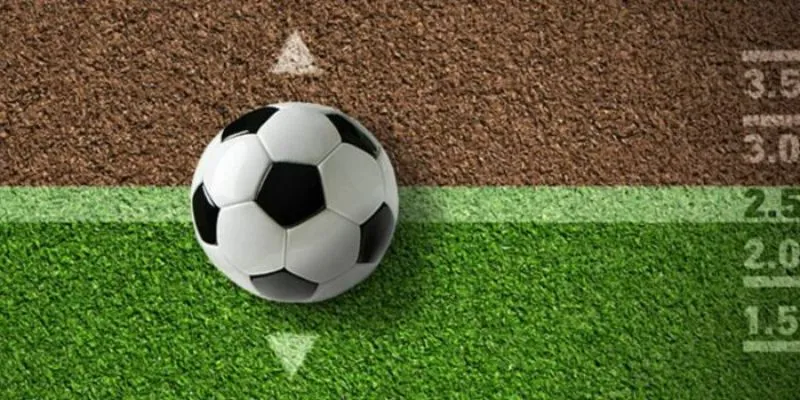 Cách chơi tài xỉu đúng đắn