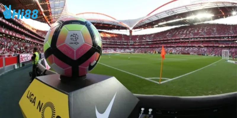 Phân tích đội bóng để đặt cược bóng đá giải Ngoại hạng Bồ Đào Nha Primeira Liga